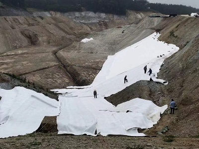 涤纶短丝针刺无纺土工布