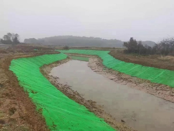 三维植被网河道护坡工程