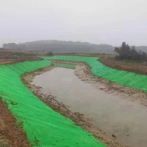 三维植被网河道护坡工程