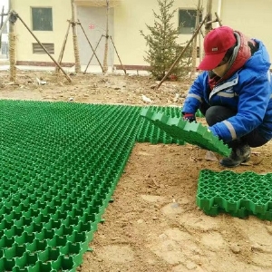 植草格施工实拍